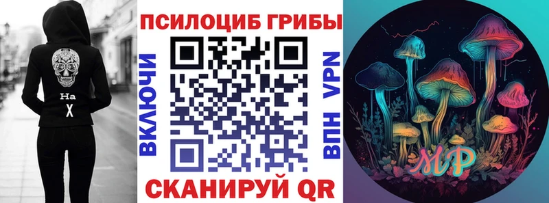 где купить наркотик  Балей  Галлюциногенные грибы MAGIC MUSHROOMS 